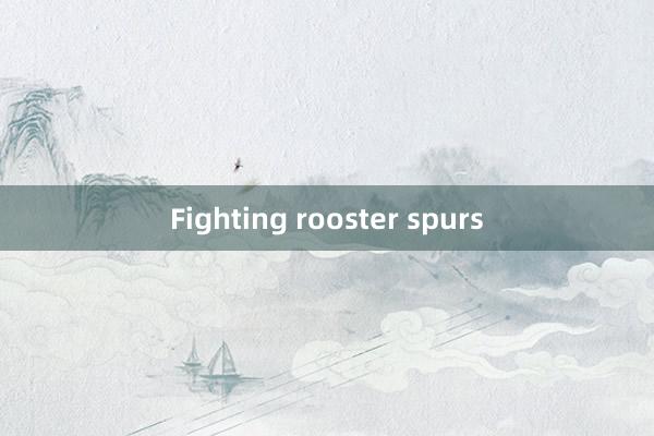 Fighting rooster spurs