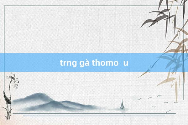 trng gà thomo  u