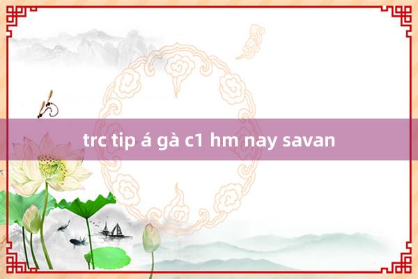 trc tip á gà c1 hm nay savan