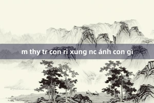 m thy tr con ri xung nc ánh con gì