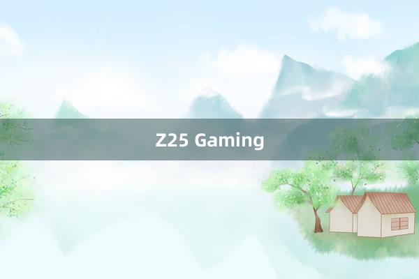 Z25 Gaming