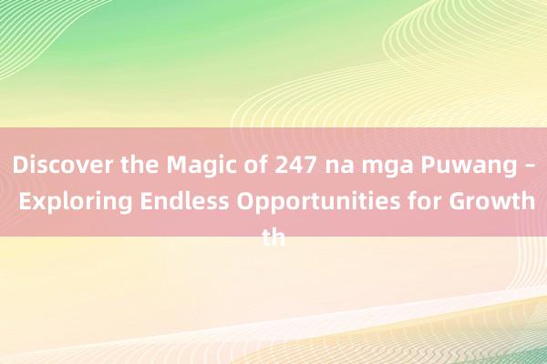 Discover the Magic of 247 na mga Puwang – Exploring Endless Opportunities for Growth