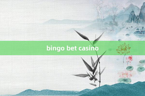 bingo bet casino