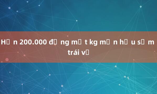 Hơn 200.000 đồng một kg mận hậu sớm trái vụ