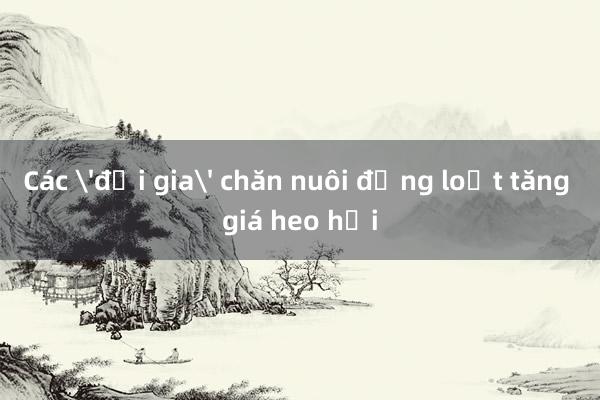 Các 'đại gia' chăn nuôi đồng loạt tăng giá heo hơi