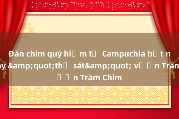 Đàn chim quý hiếm từ Campuchia bất ngờ bay &quot;thị sát&quot; vườn Tràm Chim